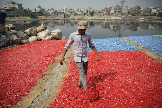 A Worker spreads recycled plastic chips after washing in the river Buriganga in Dhaka, Bangladesh on May 05, 2021. Buriganga river , which flows by Dhaka city is now one of the most polluted river in the world because of rampant dumping of human and industrial wastage. (Photo by Syed Mahamudur Rahman/NurPhoto/Rex Features/Shutterstock)