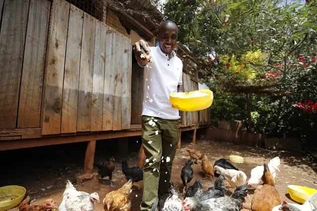 Bernard Mwololo feeds chickens at the Nyumbani Children's Home in Nairobi, Kenya Tuesday, August 15, 2023. Benard has lived most of his life at the orphanage after his parents died of AIDS, he's now an HIV activist and believes he is only alive because of the anti-retroviral drugs that PEPFAR supplies. A U.S. foreign aid program that officials say has saved 25 million lives in Africa and elsewhere is being threatened by some Republicans who fear program funding might go to organizations that promote abortion. (Photo by Brian Inganga/AP Photo)