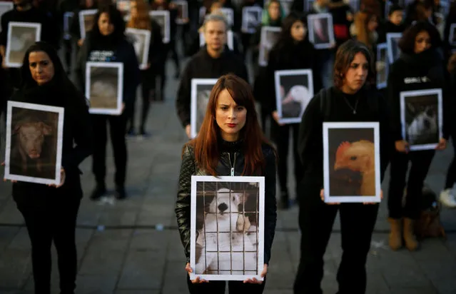 Animal rights activists from Igualdad Animal (Animal Equality) hold up pictures of animals they say are mistreated, during a demonstration to protest treatment of animals and draw attention to International Animal Rights Day, which organisers say is celebrated alongside International Human Rights Day, in Madrid, Spain December 10, 2016. (Photo by Javier Barbancho/Reuters)