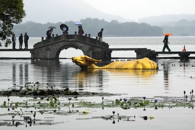 Visitors cross a stone bridge next to a gold color sculpture of a bull at the popular West Lake scenic area ahead of the 19th Asian Games in Hangzhou, China on Friday, September 22, 2023. (Photo by Ng Han Guan/AP Photo)