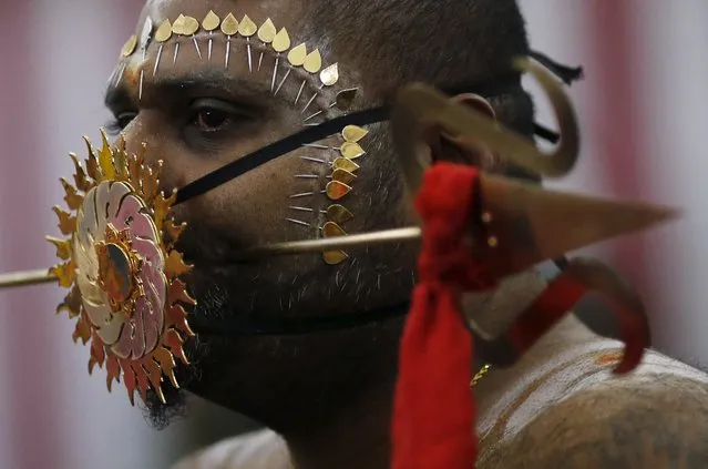 A devotee with a trident pierced through his cheeks waits to start his procession during Thaipusam festival in Singapore January 24, 2016. (Photo by Edgar Su/Reuters)