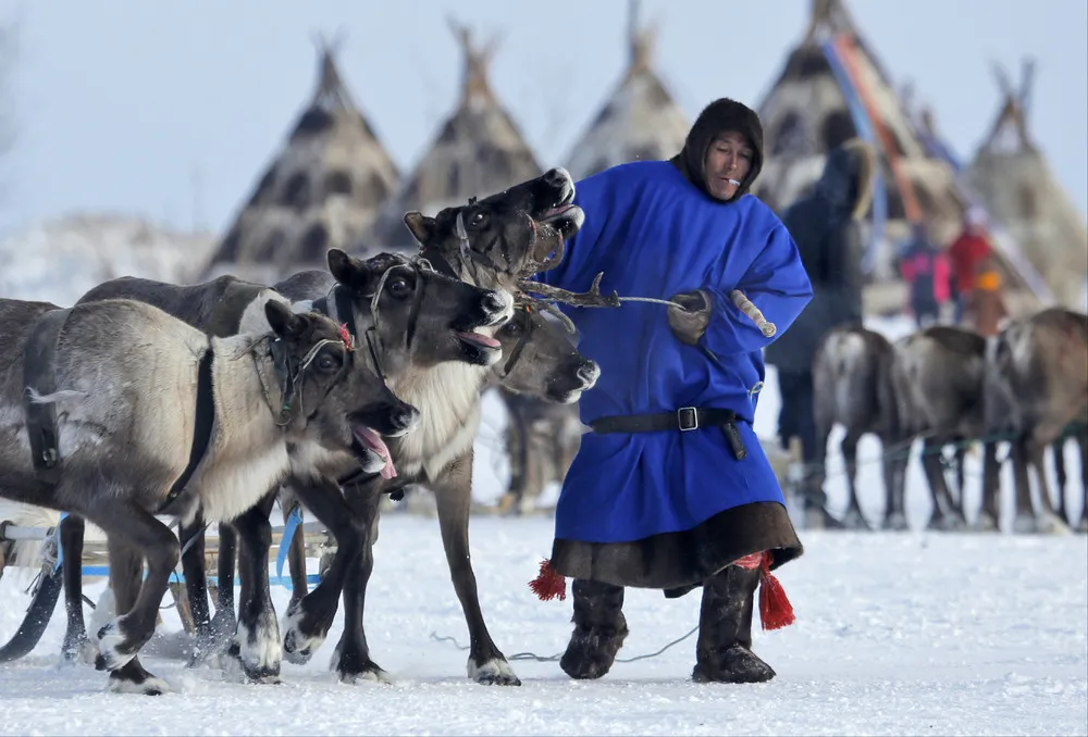 The Reindeer Herder's Day in Russia