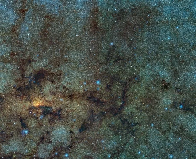 This handout image captured with the VISTA infrared survey telescope, as part of the Variables in the Via Lactea (VVV) ESO public survey and released by the European Southern Observatory on October 10, 2016 shows the central part of the Milky Way. While normally hidden behind obscuring dust, the infrared capabilities of VISTA allow to study the stars close to the galactic centre. Within this field of view astronomers detected several ancient stars, of a type known as RR Lyrae. As RR Lyrae stars typically reside in ancient stellar populations over 10 billion years old, this discovery suggests that the bulging centre of the Milky Way likely grew through the merging of primordial star clusters. (Photo by D. Minniti/AFP Photo/European Southern Observatory)