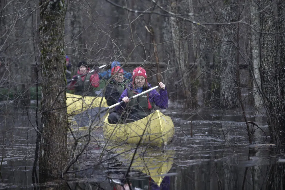 Canoe Tour in the Flooded Forest