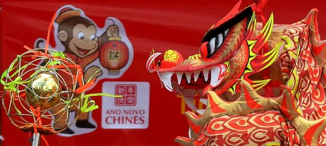 Members of the Chinese community perform a dragon dance as they take part in celebrations to mark the Chinese Lunar New Year, which welcomes the Year of the Monkey, in Sao Paulo, Brazil, February 13, 2016. (Photo by Paulo Whitaker/Reuters)