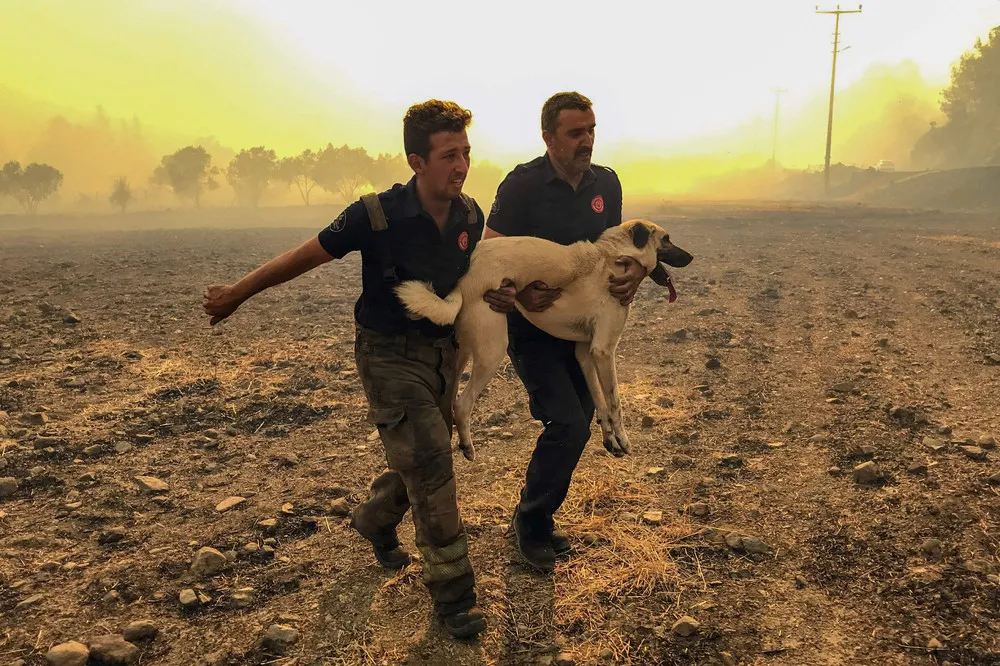 Turkey Battles Wildfires