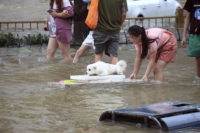 A girl helps her pet dog through flood waters after record downpours receded in Zhengzhou city in central China's Henan province Wednesday, July 21, 2021. Chinese authorities have announced a huge jump in the death toll from recent floods. The Henan province government said Monday, Aug. 2, 2021, that over 300 people died and at least 50 remain missing. (Photo by Chinatopix via AP Photo)