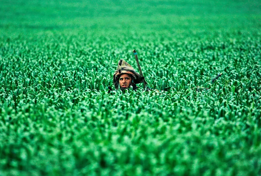 Tribute to Yannis Behrakis