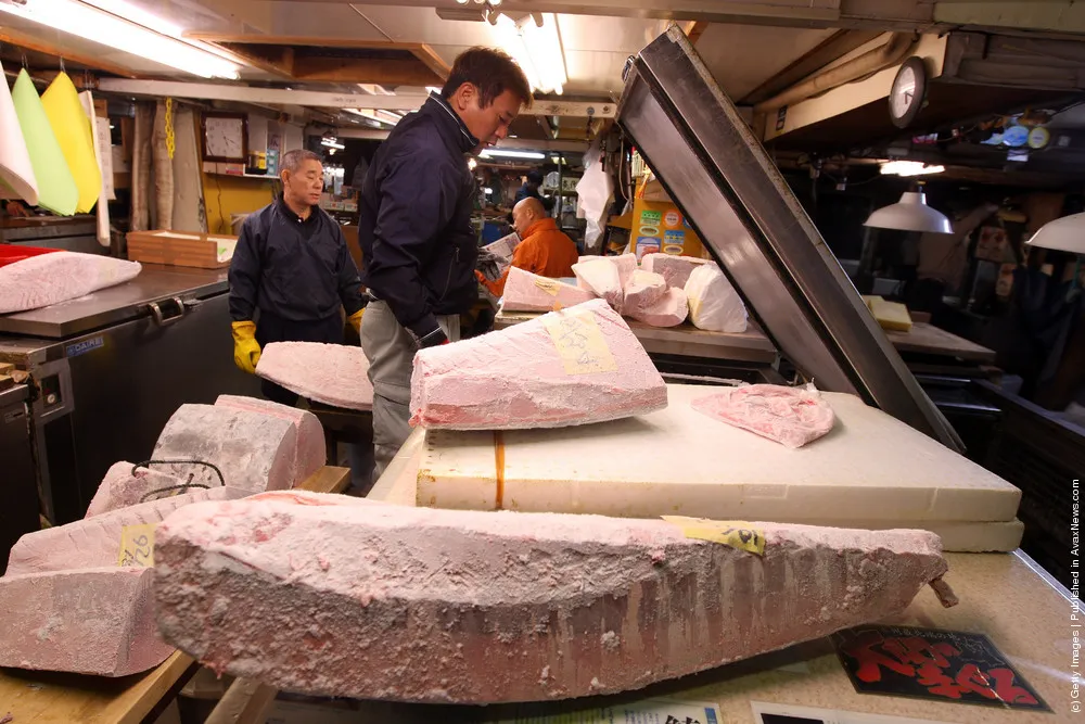 Tsukiji Fish Market