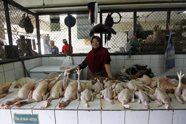 A poultry vendor waits for customers at a market in Jakarta, Indonesia March 1, 2016. (Photo by Garry Lotulung/Reuters)