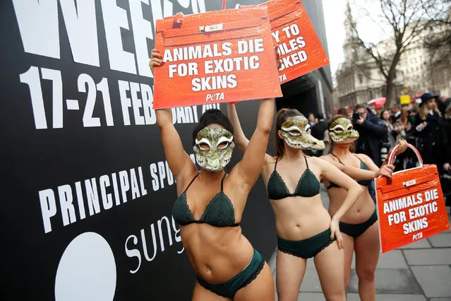 Peta models in crocodile masks protest against the use of crocodile skins in fashion during London Fashion Week in London, Britain February 17, 2017. (Photo by Neil Hall/Reuters)