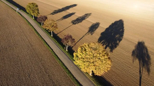 Golden and rusty leaves colour the autumn on a country road in Eaux-Puiseaux near Troyes, France, October 27, 2021. Picture taken with a drone. (Photo by Pascal Rossignol/Reuters)