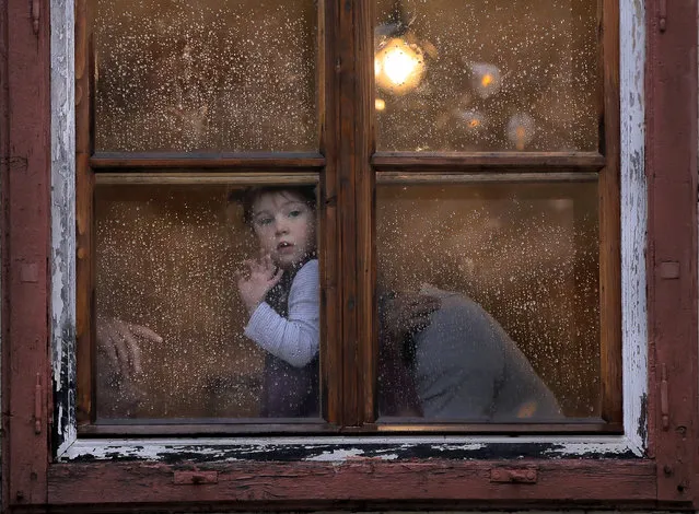 One year-old Heidi peers from a rain drop-covered window in the Transylvanian town of Sibiu, Romania, Tuesday, May 7, 2019. Sibiu will host the informal European Union Heads of State summit which will bring together EU heads of state or government, on May 9. (Photo by Vadim Ghirda/AP Photo)