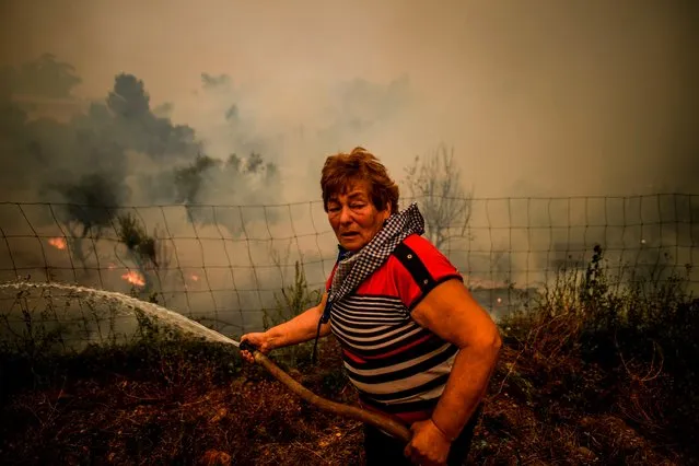 A villager uses a water hose to put out flames during a wildfire in Roda village in Macao, central Portugal on July 21, 2019. Planes and helicopters joined nearly 2,000 firefighters in central Portugal on July 21, 2019 to battle huge wildfires in a mountainous region where more than 100 people died in huge blazes in 2017. Around 20 people have been injured in the blaze, including eight firefighters and 12 civilians, according to the interior ministry. (Photo by Patricia De Melo Moreira/AFP Photo)