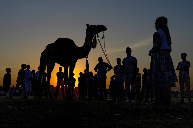 Kashmiris gather around a camel displayed for customers at a cattle market set up for the upcoming Muslim holiday of Eid al-Adha, in Srinagar, Indian controlled Kashmir, Saturday, June 15, 2024. (Photo by Dar Yasin/AP Photo)