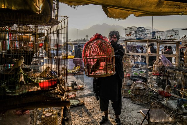 An Afghan vendor selling birds to be kept as pets wait for customers in his shop in Kabul on December 11, 2021. (Photo by Ahmad Sahel Arman/AFP Photo)