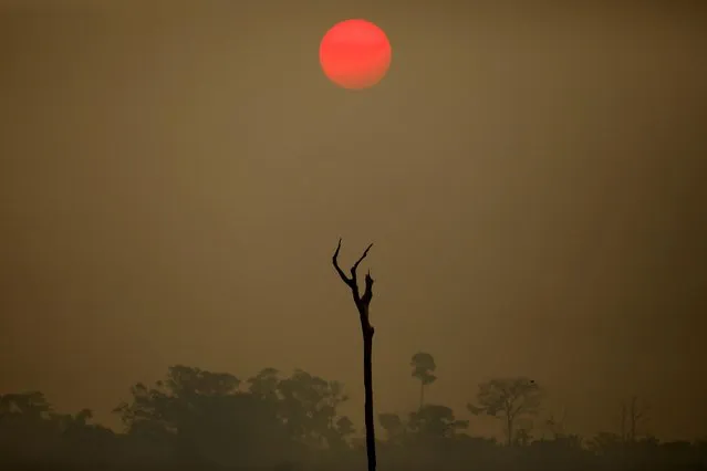 A view of a deforested area at the National Forest Bom Futuro in Rio Pardo, Rondonia state, Brazil, September 12, 2019. (Photo by Bruno Kelly/Reuters)