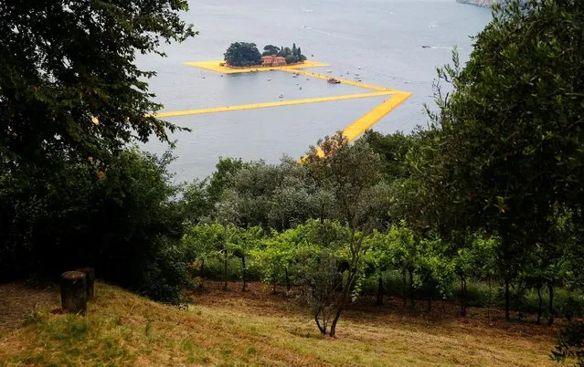 The installation “The Floating Piers” by Bulgarian-born artist Christo Vladimirov Yavachev, known as Christo, is seen from an olive tree plantation at the installation's last weekend near Sulzano, northern Italy, July 2, 2016. (Photo by Wolfgang Rattay/Reuters)