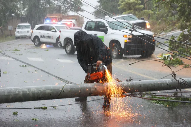 A worker cuts an electricity pole that was downed by Hurricane Fiona as it blocks a road in Cayey, Puerto Rico, Sunday, September 18, 2022. (Photo by Stephanie Rojas/AP Photo)