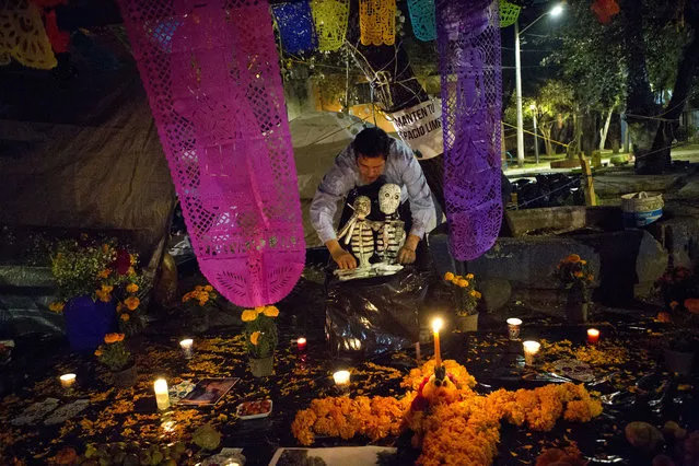 A young man arranges skeletons on a Day of the Dead altar at a tent encampment at Multifamiliar Tlalpan, where nine people died when a building collapsed in the Sept. earthquake, in Mexico City, Tuesday, October 31, 2017. People in Mexico are marking this year’s holiday by remembering the people killed in the Sept. 19 earthquake. (Photo by Rebecca Blackwell/AP Photo)
