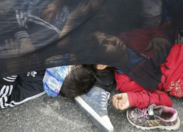 Migrant's children rest on the ground near the border with Hungary in Horgos, Serbia, September 15, 2015. (Photo by Marko Djurica/Reuters)
