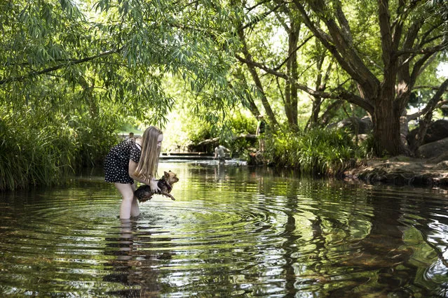 A girl cools down with her dog in the Pool River in South London on June 24, 2020 in London, United Kingdom. The UK is experiencing a summer heatwave, with temperatures in many parts of the country expected to rise above 30C and weather warnings in place for thunderstorms at the end of the week. (Photo by Dan Kitwood/Getty Images)