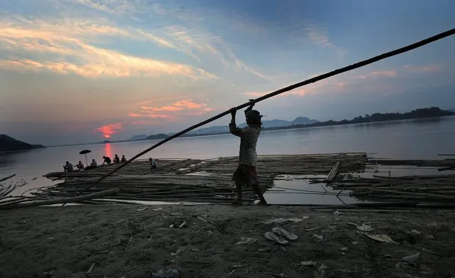 Indian workers carry bamboo from a stacks of bamboo at the bank of the Brahmaputra river in Guwahati, India, 24 August 2016. As the festival season has started in this part of the northeast India, businessmen have started stocking bamboos in large quantity to be used for making idols besides other things. Apart from festivals there is also a large demand of bamboo for construction works in Guwahati. (Photo by Harish Tyagi/EPA)