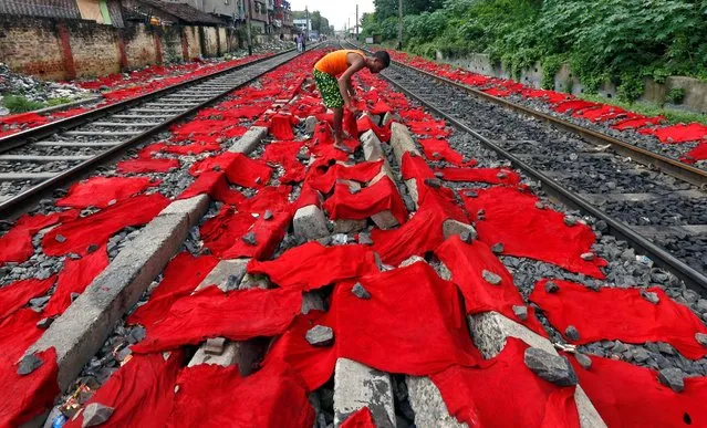 A man lays dyed cattle skins between railway tracks for drying in Kolkata, India September 1, 2016. (Photo by Rupak De Chowdhuri/Reuters)