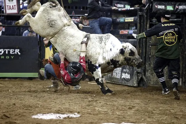 Silvano Alves rides during PBR's Unleash The Beast at Madison Square Garden at Madison Square Garden on January 07, 2023 in New York City. (Photo by John Lamparski/Getty Images)