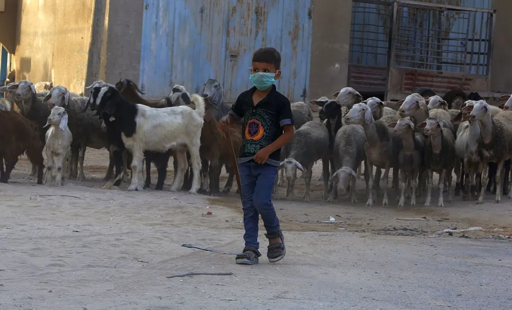 Palestinians Daily Life