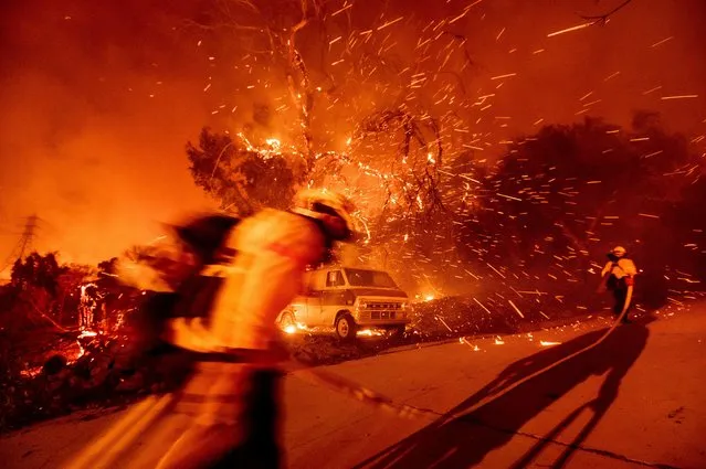 Firefighters battling the Bond Fire haul hose while working to save a home in the Silverado community in Orange County, Calif., on Thursday, December 3, 2020. (Photo by Noah Berger/AP Photo)