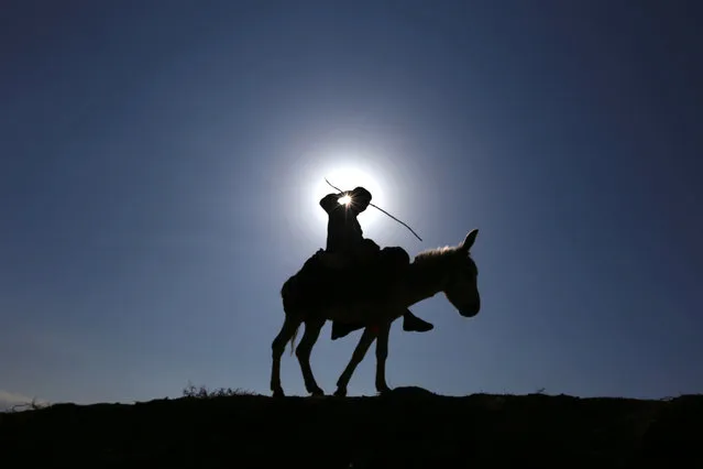 An Afghan man is silhouetted as he rides on a donkey, in Herat, Afghanistan, December 29, 2014. Afghanistan's economy has improved, with the help of international aid, after suffering decades of fighting. (Photo by Jalil Rezayee/EPA)