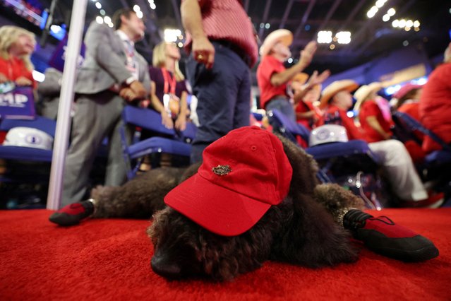 A dog lies on the floor on Day 1 of the Republican National Convention, at the Fiserv Forum in Milwaukee, Wisconsin on July 15, 2024. (Photo by Andrew Kelly/Reuters)