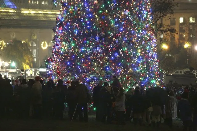 People gather in front of the U.S. Capitol Christmas Tree after the lighting ceremony on Capitol Hill in Washington December 2, 2015. The 74 foot (22 meters) Lutz spruce tree comes from Alaska’s Chugach National Forest. (Photo by Joshua Roberts/Reuters)