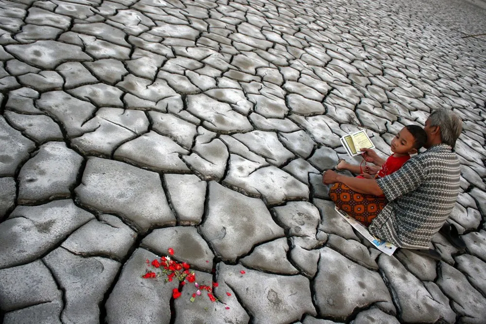 The Week in Pictures August 3 – August 9, 2013 (71 Photos)