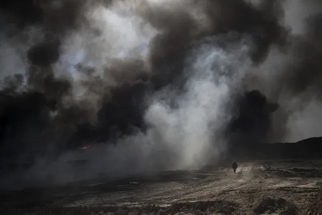 An oil worker walks next to burning oil fields in Qayara, south of Mosul, Iraq, Tuesday, November 22, 2016. (Photo by Felipe Dana/AP Photo)