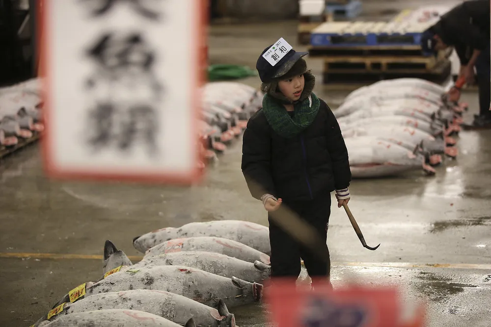 80-year-old Tokyo Fish Market holds Final New Year Auction