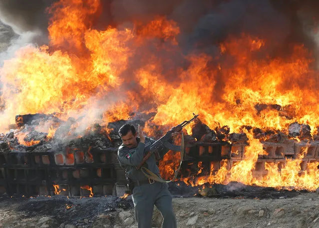 An Afghan officer reacts in front of a burning pile of seized narcotics and alcoholic drinks, in the outskirts of Kabul, Afghanistan December 20, 2016. (Photo by Omar Sobhani/Reuters)