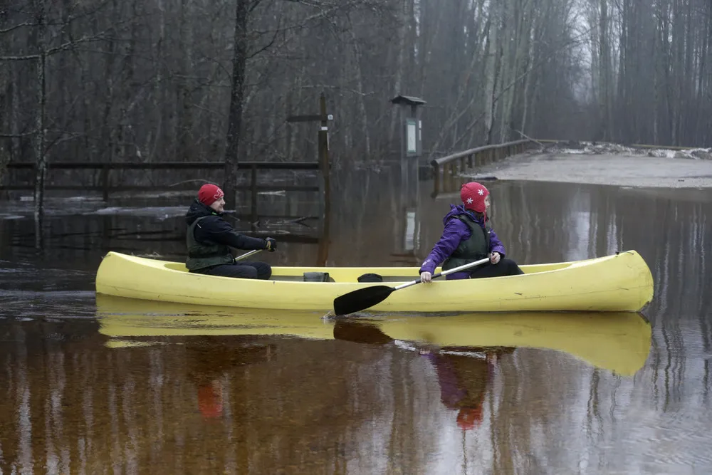Canoe Tour in the Flooded Forest