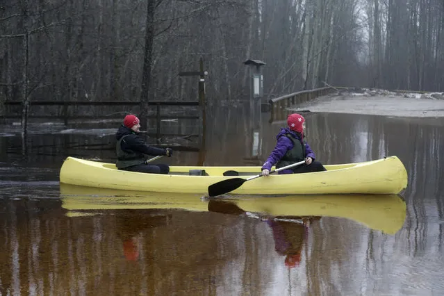 People canoe over a flooded road in Soomaa national park, Estonia, February 7, 2016. (Photo by Ints Kalnins/Reuters)