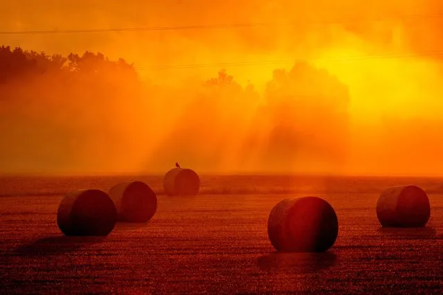 Straw bales lie on a field in Obernhain near Frankfurt, Germany, as the sun rises on Tuesday, August 22, 2023. (Photo by Michael Probst/AP Photo)
