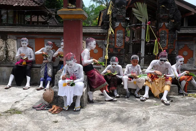 Ngerebeg festivalgoers take a break before swarming into a temple to “neutralise the negative effect of humans on the environment” in Bali, Indonesia on February 17, 2019. (Photo by Gede Sudika Pratama/Solent News)