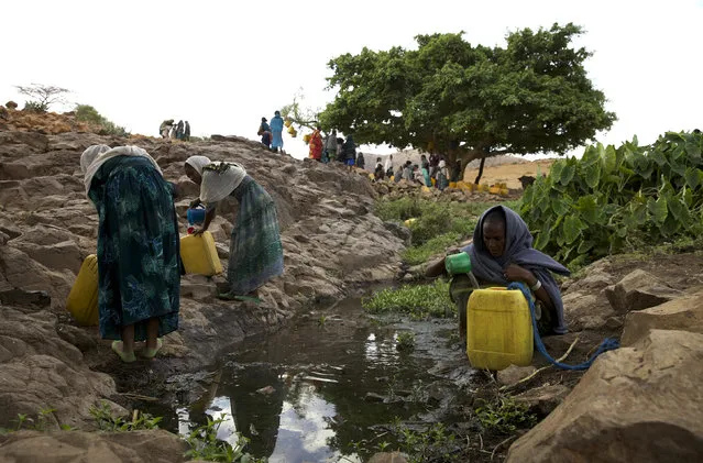 Women collect water from a stream outside the village of Tsemera in Ethiopia's northern Amhara region, February 13, 2016. (Photo by Katy Migiro/Reuters)