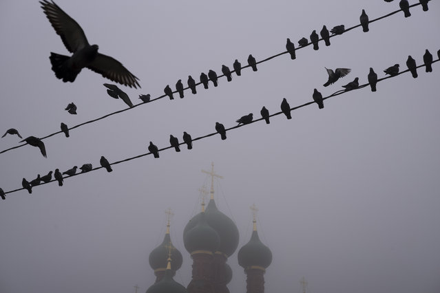 Birds sit on wires near the Church of the Life-Giving Trinity in Ostankino seen through morning fog in Moscow, Russia, Tuesday, November 2, 2021. More than 30 flights were delayed or canceled at three airports in the capital due to fog. (Photo by Alexander Zemlianichenko/AP Photo)