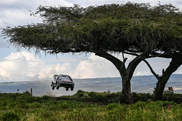 Elfyn Evans of Great Britain and Scott Martin of Great Britain compete in their Toyota Gazoo Racing WRT Toyota GR Yaris Rally1 #33 during Day Two of the FIA World Rally Championship Kenya on March 29, 2024 in Naivasha, Kenya. (Photo by Massimo Bettiol/Getty Images)