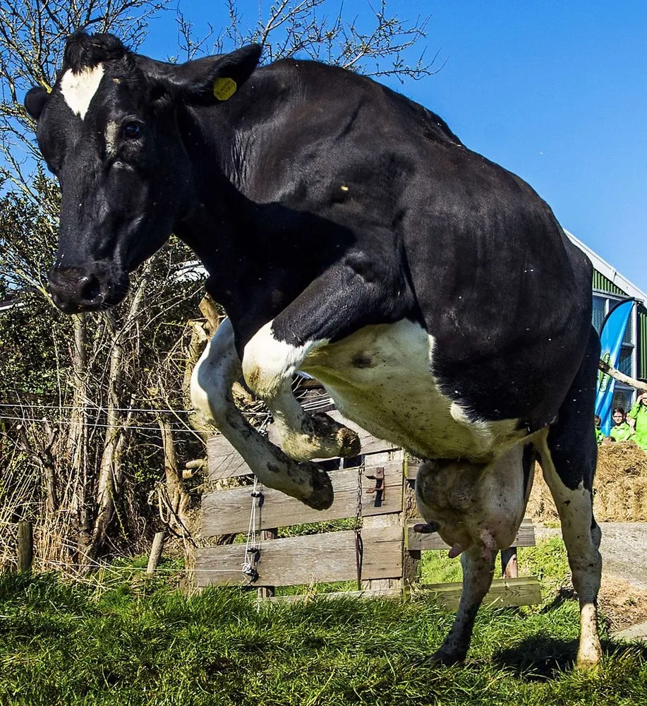 The Week in Pictures: Animals, March 15 – March 21, 2014