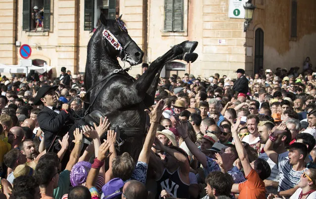 A horse rears in the crowd during the “Caragol des Born”, a mass gathering of horses and people swirling to the rythm of the music during the traditional Sant Joan (Saint John) festival in the town of Ciutadella, on the Balearic Island of Minorca, on the eve of Saint John's day on June 23, 2019. (Photo by Jaime Reina/AFP Photo)