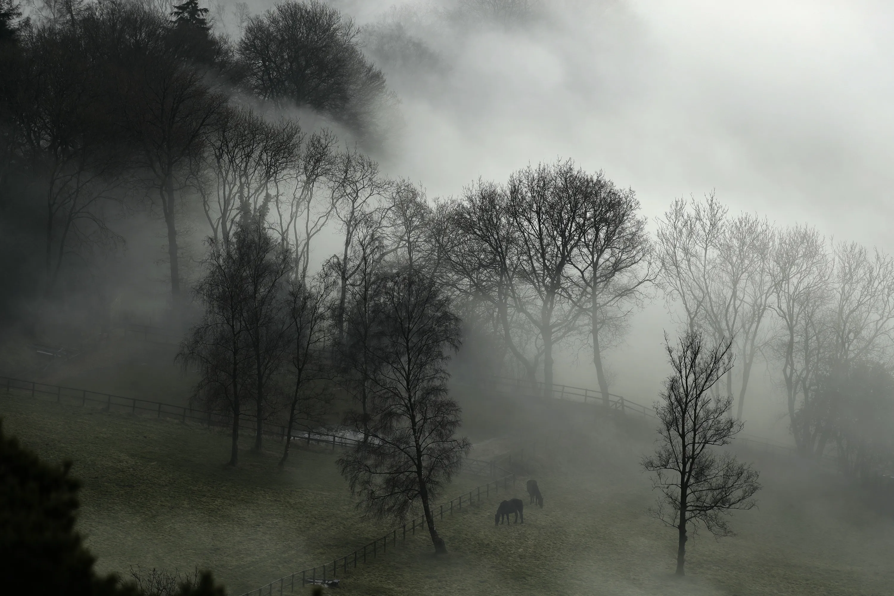 Редеет мгла ненастной ночи. Туман. Туманный пейзаж. Природные явления туман. Красивый туман.