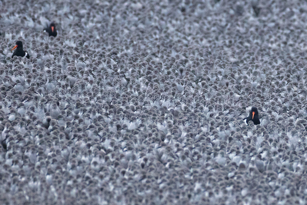 Pictures of the Year 2023, Part 037/224