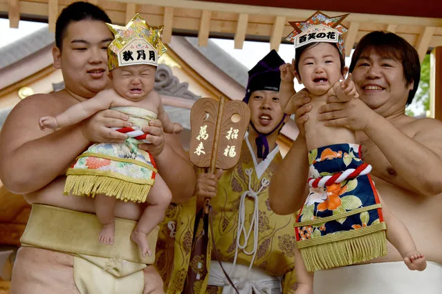 Sumo wresters hold up crying babies in front of a referee (C) clad in a traditional costume during a “Baby-cry Sumo” event at the Kamegaike-Hachiman Shrine in Sagamihara, Kanagawa prefecture, on May 14, 2017. Some 150 babies aged under two took part in the annual baby crying contest in the Shinto shrine in Sagamihara. Japanese parents believe that sumo wrestlers can help make babies cry out a wish to grow up with good health. (Photo by Toru Yamanaka/AFP Photo)